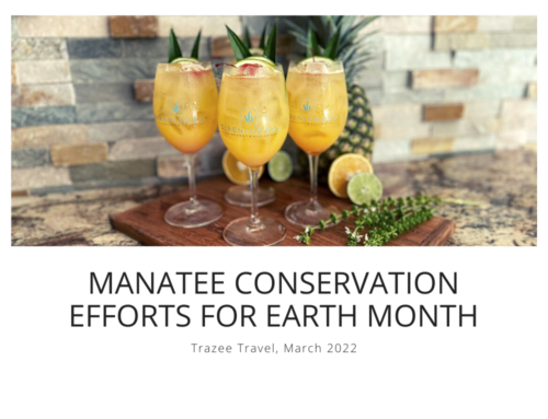 Sirenian Bay Launches Manatee Conservation Efforts for Earth Month