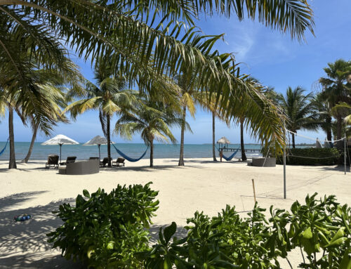 To Do or not To Do??  By The ROAMies